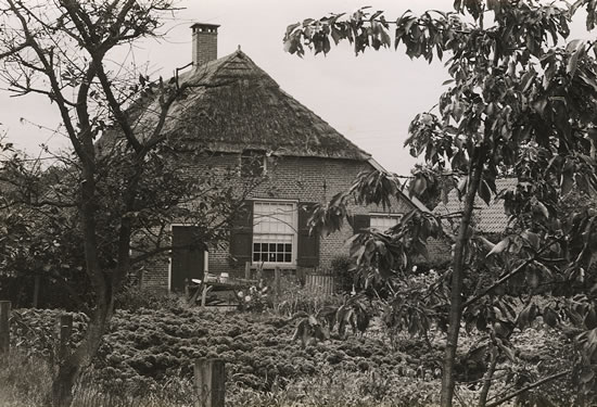 vakantiehuis denneveld achterhoek historische foto